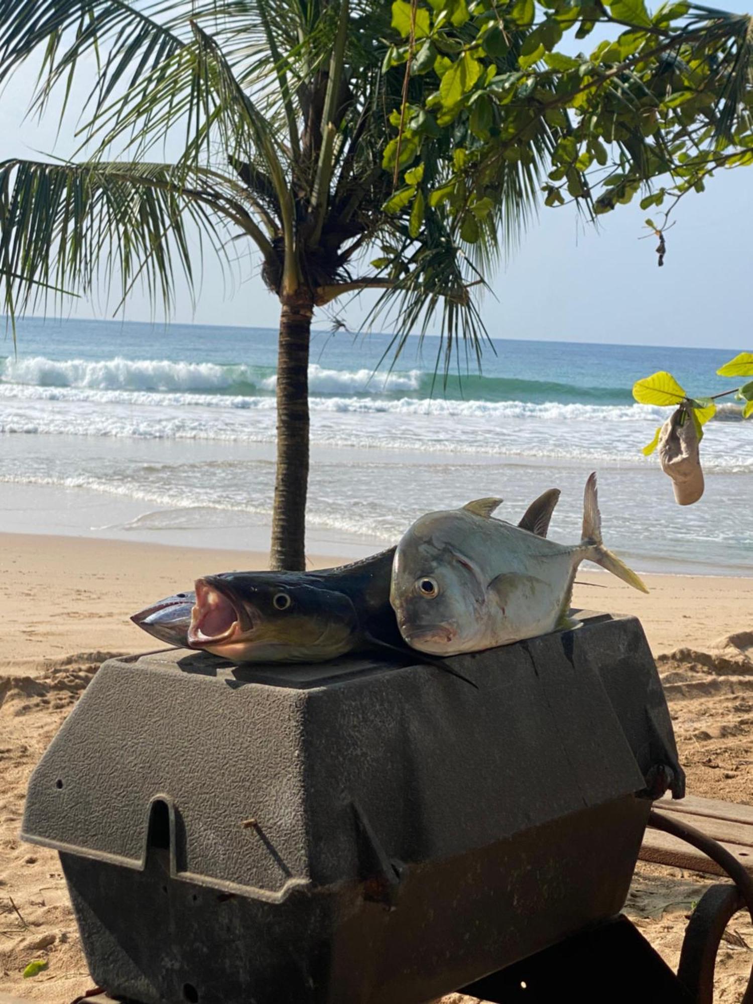 Talalla Bay Beach 외부 사진