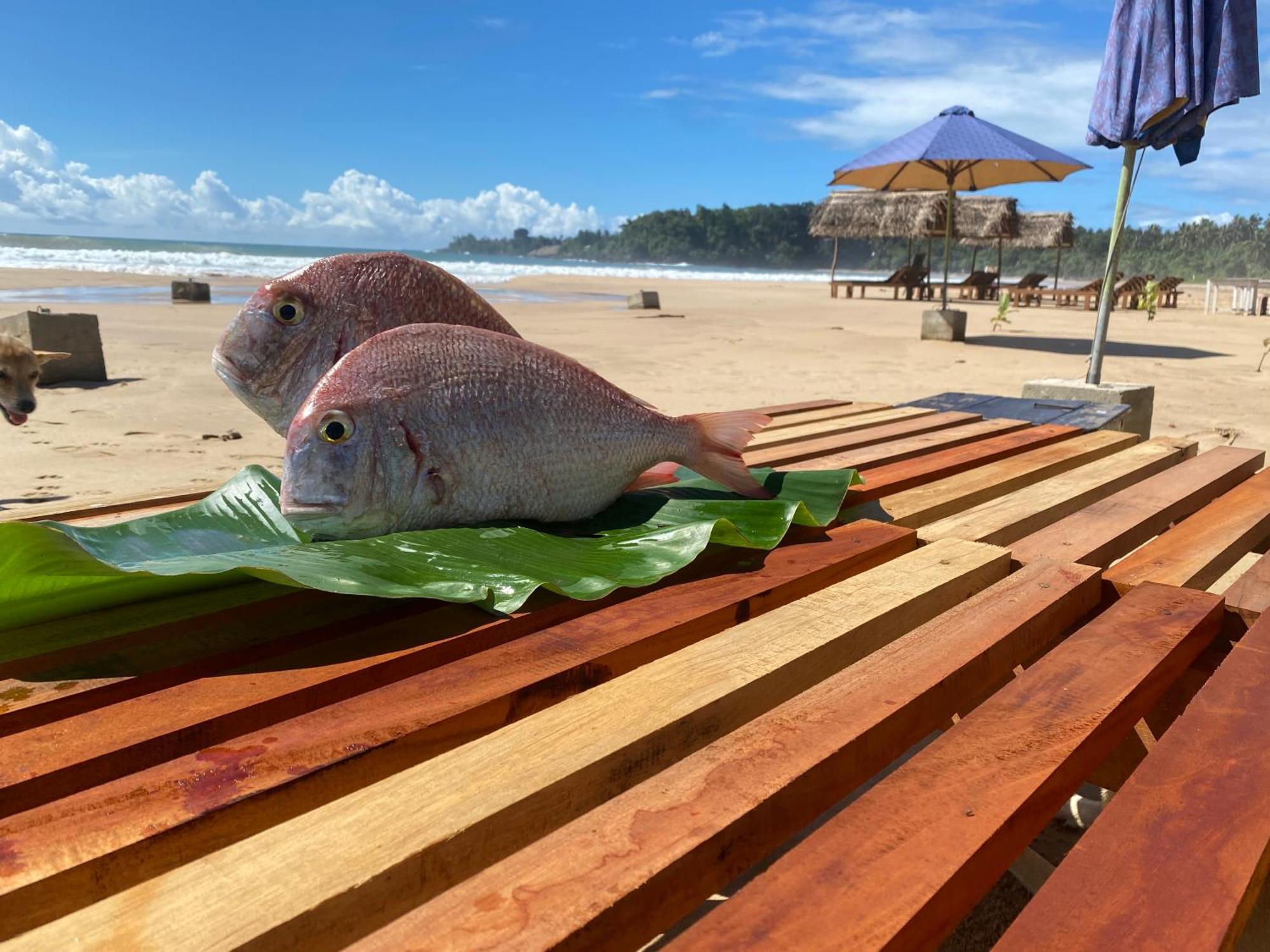 Talalla Bay Beach 외부 사진