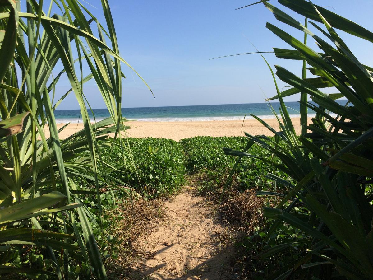 Talalla Bay Beach 외부 사진